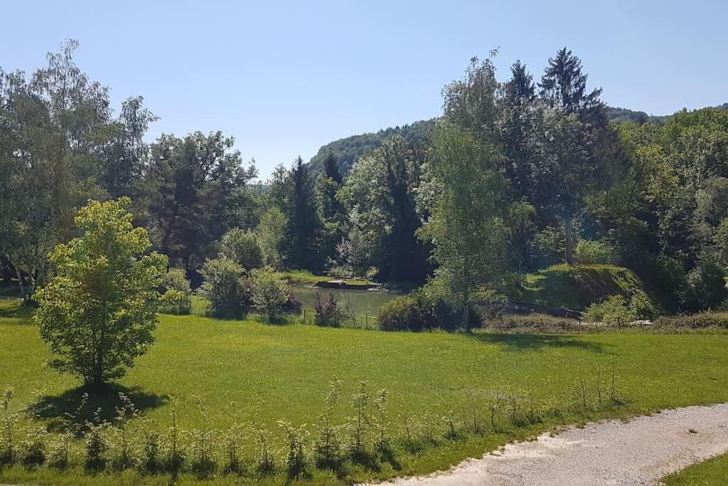 Villa Gite Jura Mina Chalet Au Milieu De La Nature à Ney Extérieur photo
